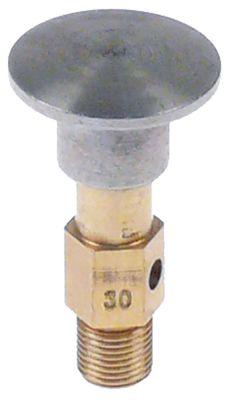 Tændbrænderoverdel 1 flamme Naturgas Dysetype 30