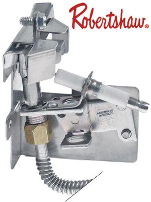 Tændbrænder Type 6SW30-21E med 3 flammer Naturgas für rør-ø 1/4