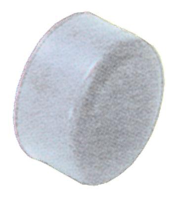 Beskyttelseshætte transparent UD ø 29mm H 16mm til tryktast