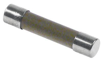 Sikring 2,5A træg Mærkespænding 250V VPE 1 Stk. Størrelse ø6,3x32mm