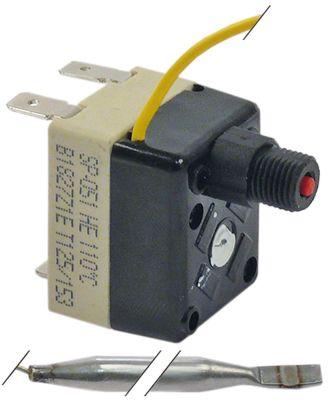 Sikkerhedstermostat Frakoblingstemp. 110°C 1-polet 1CO 16A Føler ø 5mm Føler L 70mm