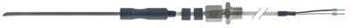 Kernetemperaturføler Pt100 Kabel PTFE Føler -40 til +250°C Føler ø3,2x100mm