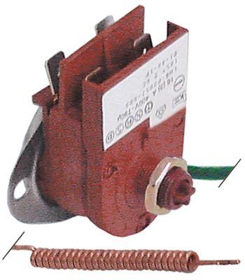 Sikkerhedstermostat Frakoblingstemp. 110°C T.maks. 110°C 2-polet 2NC 16A Føler ø 6mm