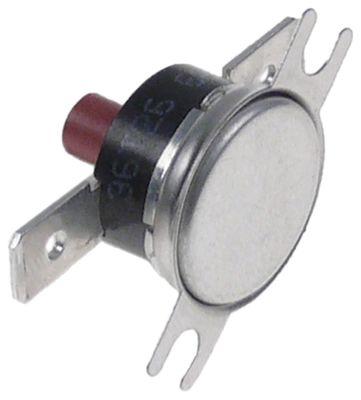 Sikkerheds-kontakttermostat Frakoblingstemp. 100°C 1NC LA 235mm Tilslutning F6,3 1-polet