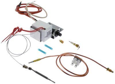 Sikkerhedstermostat 1-polet 1NC Føler ø 6mm Føler L 78mm Kapillærrør 700mm Pakdåse M9x1