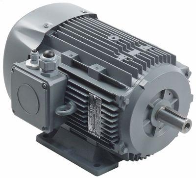 Motor 230/400V 4000W Type Q2E 112M4C-41 TEE 50Hz 1440o/min