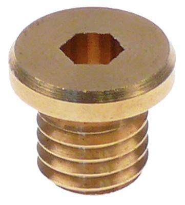 Skrue Gevind M10x1,5 ø 147mm H 13mm SW Indvendig sekskant 5mm
