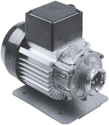 Pumpemotor 300W 230V Tilslutning Bøjle H 170mm L 200mm B 125mm Type C008406 RPM 50/60Hz