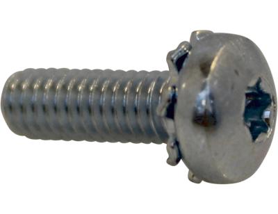 Screw dimensions M4x12mm torx suitable for de Jong Duke