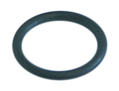 O-ring epdm t02,62 id=17,13mm