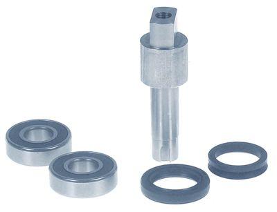 Akse med pakning og kugleleje Kartoffelskralder Sæt til enhed PP4 Expo Akse 25x14mm