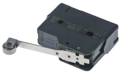 microswitch with handle with a switch 250V 16A 1COconnection screw L 50mm