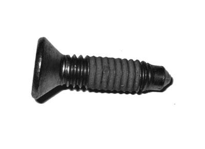 Loc screw